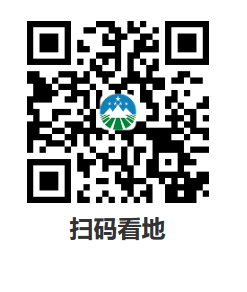 图片 14