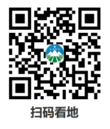 图片 11