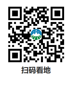 图片 20