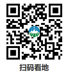 图片 6
