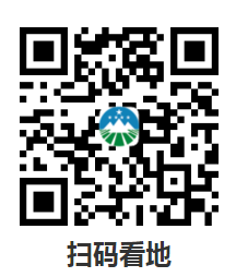 图片 4