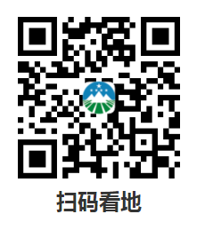 图片 12